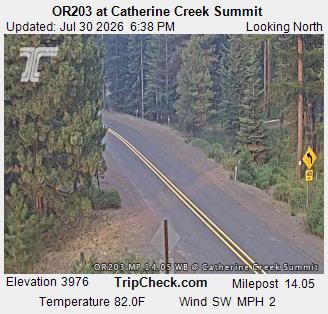 OR203 at Catherine Creek Summit SB MP14.05